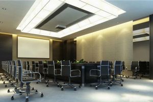深圳市泛谷藥業(yè)辦公室裝修_會(huì)議室