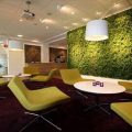 布藝獨(dú)立沙發(fā)辦公室洽談室綠色清新裝修效果圖