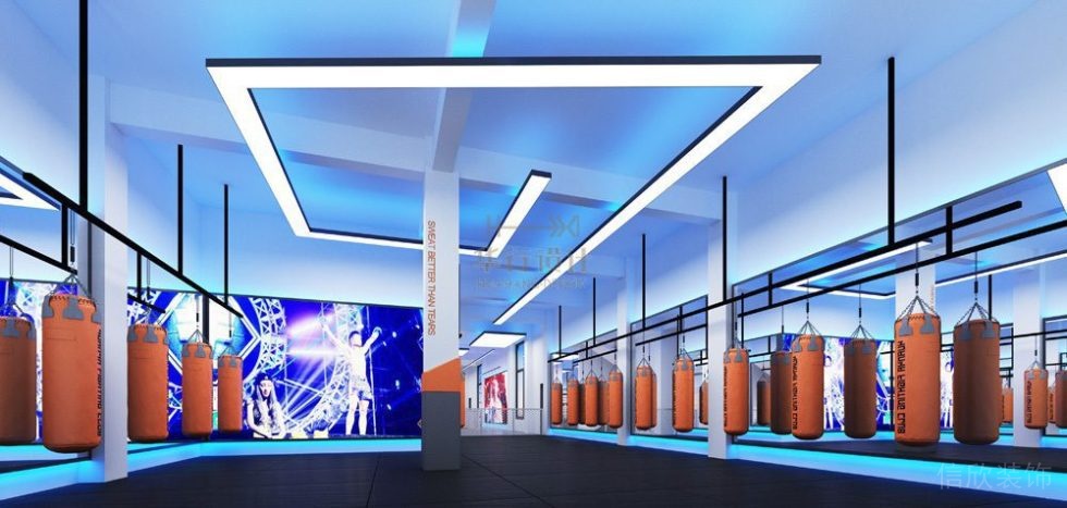 拳擊教室武術培訓機構(gòu)環(huán)境天花燈帶創(chuàng)意設計