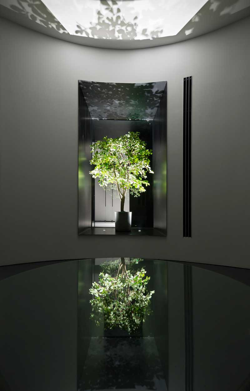 深圳寶安黑白色調辦公室綠植造型裝修 深圳寶安黑白色調辦公室綠植造型裝修