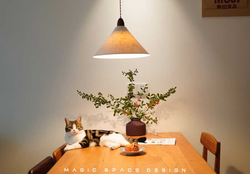 深圳羅湖北歐風格家居裝修設計吊燈 深圳羅湖北歐風格家居裝修設計吊燈