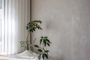 新中式風(fēng)格辦公空間茶室綠植景觀效果圖