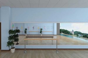 南山區(qū)西麗舞蹈培訓中心裝修設計把桿