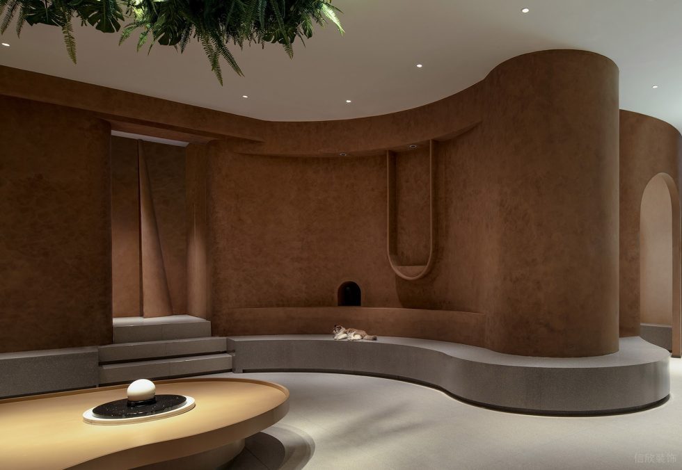 深圳市龍崗區橫崗有貓植說寵物店裝修設計-曲線型大廳二 深圳市龍崗區橫崗有貓植說寵物店裝修設計-曲線型大廳二