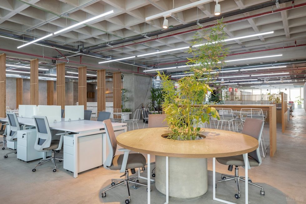 原木工業(yè)風(fēng)辦公室裝修設(shè)計(jì)圓臺(tái)討論區(qū) 原木工業(yè)風(fēng)辦公室裝修設(shè)計(jì)圓臺(tái)討論區(qū)