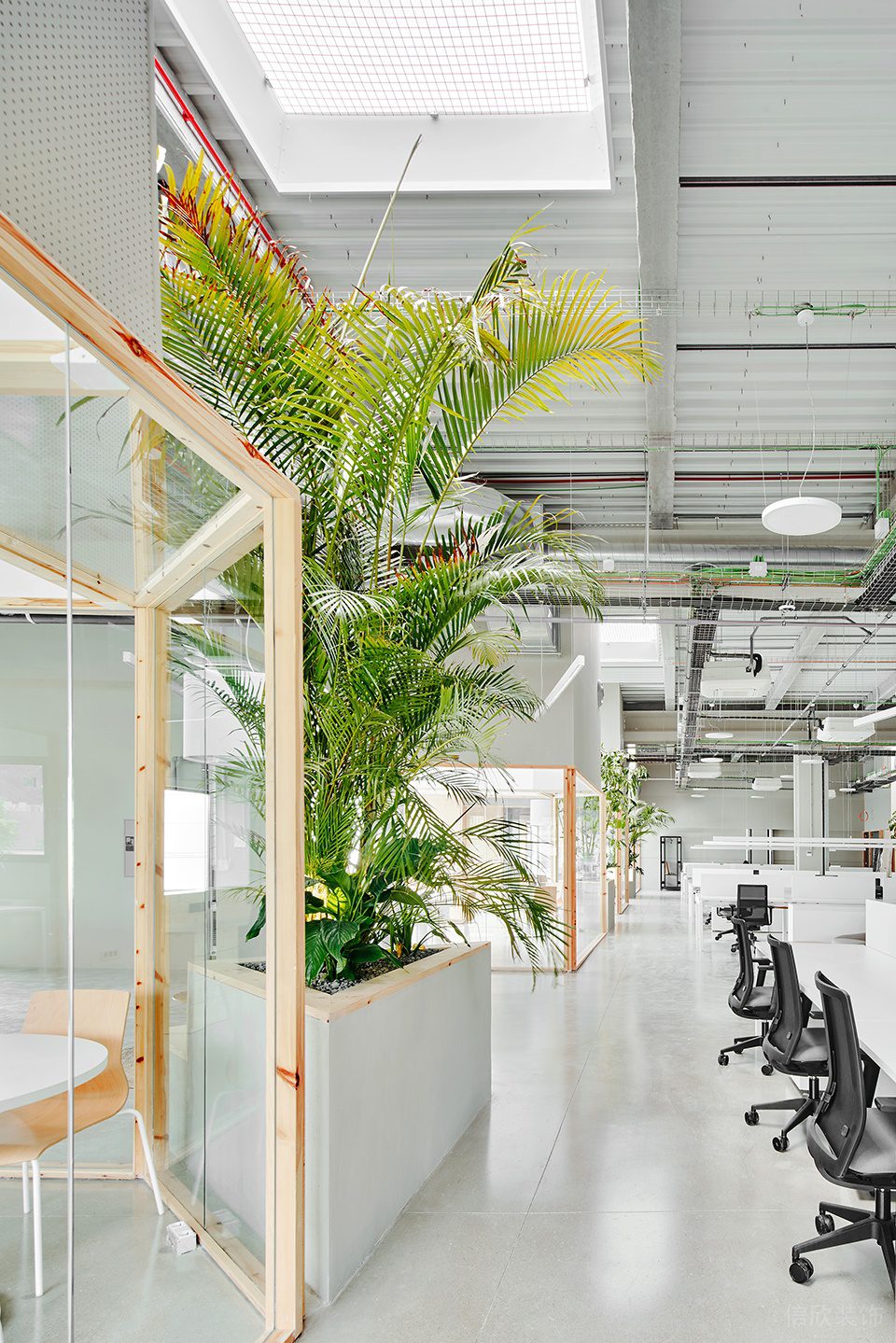 素木色簡約自然風辦公室裝修設計翠綠色裝飾植物 素木色簡約自然風辦公室裝修設計翠綠色裝飾植物